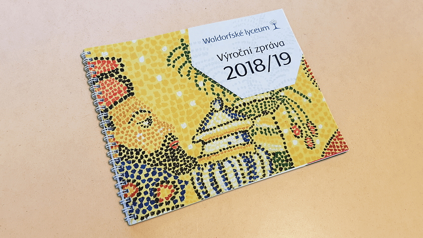 wl vz 2018-19